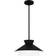 QUOIZEL Lionel Matte Black Pendant Lamp 15"