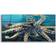 Highland Dunes Wild Octopus II Black/Blue Framed Art 48x24"