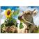 Close-Up Cow With Sunflower In Its Mouth Multicolor Bild 60x40cm