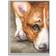 Stupell Industries Pleasant Corgi Puppy Dog Gazing Lying Down Gray Framed Art 11x14"