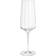 Georg Jensen Bernadotte Champagne Glass 9.1fl oz 6