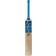 SS Vintage Bolt Kashmir Willow Cricket Bat