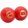 SS Gutsy Synthetic Cricket Ball 2Pack