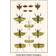 Praying Mantis Katydids Grasshoppers Multicolour Poster 28x42"