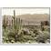 Stupell Industries Rocky Desert White Framed Art 30x24"