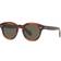 Oliver Peoples Cary Grant Polarized OV5413SU