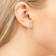 Cate & Chloe Jasmine Earrings - Silver/Transparent