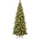 National Tree Company Pre-Lit Charleston Pine Snowy Slim Green Christmas Tree 108"