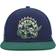 Mitchell & Ness Toronto Raptors Hardwood Classics Grassland Fitted Hatb