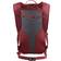Salomon Trailblazer 10L Backpack - Red Dahlia/Ebony
