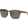 Native Polarized XD9046 Brown/Grey