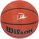 Fanatics Authentic Desmond Bane Memphis Grizzlies Autographed Wilson Series Indoor/Outdoor Basketball