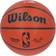 Fanatics Authentic Desmond Bane Memphis Grizzlies Autographed Wilson Series Indoor/Outdoor Basketball