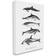 Stupell Industries Marine Life Orca Whales White Framed Art 30x24"