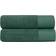 Juniper Towel Bath Towel Green (140x70cm)