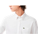 Lacoste Regular Fit Shirt - White