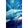 Ownta Star Shark Pattern Breathable & Translucent Chiffon Silk Scarf - Multicolor