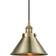 Innovations Lighting Briarcliff Antique Brass Pendant Lamp 10"