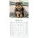 2025 Yorkshire Terrier Square Wall Calendar