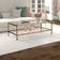 Hudson & Canal Hera Antique Brass Coffee Table 24x54"