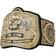 WWE Authentic Tag Team Champions Replica Title Belt