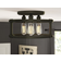 Greyleigh Tayla Matte Bronze Ceiling Flush Light 15"