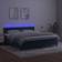 vidaXL LED Light Velvet Boxspringbett 160x200cm