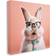 Stupell Industries Rabbit In Glasses Pink/White Wall Decor 17x17"