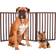 Pet Parade Folding Gate Extra Wide