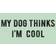 Fifth Sun Girl's Lost Gods My Dog Thinks I'm Cool Graphic Tee - Mint