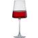AllModern Purpose Red Wine Glass, White Wine Glass 15.25fl oz 2pcs