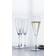 Spiegelau Willsberger Anniversary Champagneglass 25.1cl 4st