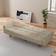 Chevni Couch Loveseat Sleeper Futon Beige Sofa 66.9" 2 Seater