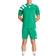 Adidas Fortore 23 shorts - Team Green/White
