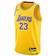 Nike Kids' Los Angeles Lakers LeBron James #23 Icon Jersey