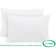 Ultra Fresh 2-Pack Fiber Pillow (66x50.8)