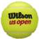 Wilson US Open X-Duty Tennis Balls 24x3-pack -