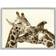 Stupell Sweet Cuddling Giraffes Sepia Wildlife Grey Framed Art 30x24"