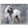 Stupell Industries Abstract Grey Horse Stallion Gray Framed Art 30x24"