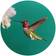 Annas Hummingbird Trivet 8" 3pcs