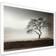 Design Art Minimalism Photography Of Sererity Tree White Framed Art 20x12"