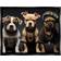 Stupell Industries Gangster Dogs Trio Puppies Black Framed Art 31x25"