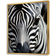 Design Art Black And White Zebra Portrait I Gold Framed Art 16x32"