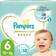 Pampers Premium Care Diapers Size 6 13+kg 38pcs