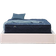 Serta Perfect Sleeper Oasis Coil Spring Mattress