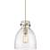 Innovations Lighting Newton Bell Brushed Brass/Seedy Pendant Lamp 10"