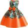 lisusut Girls Print Dress Pageant Party Child Costume