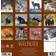 Willow Creek Press Rocky Mountain Wildlife Wall Calendar 2025