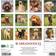 Willow Creek Press Just Labradoodles 2025 Wall Calendar