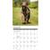 Willow Creek Press Just Labradoodles 2025 Wall Calendar